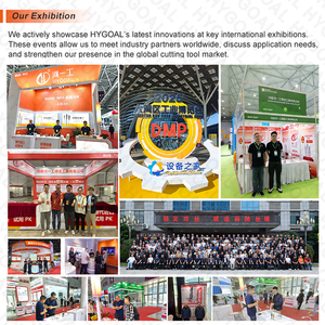 HYGOAL Uitstekende Prestatie Spirale Gegroefde Taps met Metrische Grove Draad M3 Tapboorbits - Product Image 6