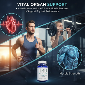 Complément Alimentaire Antioxydant Anti-Âge à Base de Niacinamide Breveté en Marque Blanche 1000mg – 90 Capsules/Flacon - Product Image 4