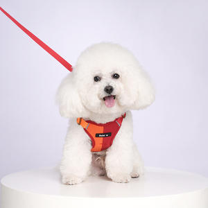 <span class=keywords><strong>Harnais</strong></span> et laisse pour <span class=keywords><strong>chien</strong></span> en polyester rembourré bicolore avec boucle, réfléchissant, durable, petite taille - Product Image 5