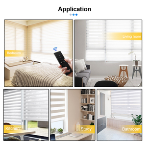 High Quality Motorised Electric Wifi Indoor Hotel Window <strong>Remote</strong> <strong>Control</strong> <strong>Shade</strong> Zebra Blind - Product Image 6