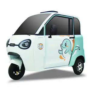 Haibao Yu Yan personnalisé cargo tricycle électrique fermé scooter tricycle électrique