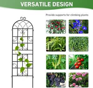 Maison jardin treillis <span class=keywords><strong>en</strong></span> fer pour plantes grimpantes clôture de fleurs support de plante <span class=keywords><strong>en</strong></span> <span class=keywords><strong>pot</strong></span> grand mur rose vigne légume concombre support - Product Image 4