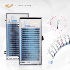 Pestañas de abanico prefabricadas 4D de alta calidad, pestañas postizas naturales hechas a mano con alto volumen CC Curl Dazzling Stand, accesorio de belleza - Product Image 3