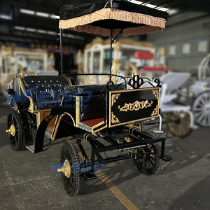 Carruaje Real Clásico de Lujo Negro Personalizado de Alta Gama con Aire Acondicionado/Carruaje Eléctrico Europeo para Turismo - Product Image 4