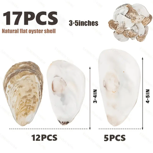 17Pcs Tự Nhiên Phẳng Vỏ Sò 3-5in Trung Bình Để Lớn, Đĩa Hình, Craft Vỏ Biển Cho Xmas Đồ Trang Trí, DIY Nghệ Thuật Và Hàng Thủ Công - Product Image 3