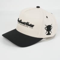 Groothandel OEM Custom Logo 5-Panel Gebogen Klep Baseball Pet 100% Katoen Unisex Platte Borduring Tweekleurig