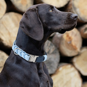 Direct Factory Custom Design Waterdichte PVC Hondentuig en -riemset met Bloemenlinten Luxe Intrekbare Riem Zilveren Metalen Gesp - Product Image 3