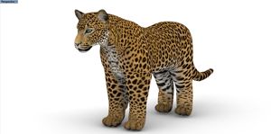 Tigre inflable realista, personaliza animales salvajes inflables, explota el tigre <span class=keywords><strong>salvaje</strong></span> inflable - Product Image 3