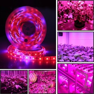 Tira de Luz LED SMD 5050 de Espectro Completo 5V para Cultivo de Plantas <span class=keywords><strong>en</strong></span> Interiores, Ideal para Suculentas, <span class=keywords><strong>Echeveria</strong></span>, Germinación y Propagación - Product Image 2