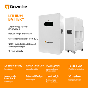 แบตเตอรี่ลิเธียมโซลาร์ Dawnice Energy 16 กิโลวัตต์ชั่วโมง 48 โวลต์ 100 แอมป์ชั่วโมง 200 แอมป์ชั่วโมง 314 แอมป์ชั่วโมง แบตเตอรี่ลิเธียมไอออน 5 กิโลวัตต์ชั่วโมง 10 กิโลวัตต์ชั่วโมง 15 กิโลวัตต์ชั่วโมง Powerwall - Product Image 3