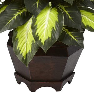 Árbol Artificial de Hoja de Ficus con Maceta de Madera - Decoración Ecológica para el Hogar y la Oficina para Acción de Gracias y Pascua - Triple Dieffenbachia Dorada - Product Image 6
