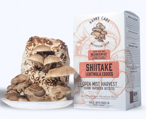 Kit personalizzato per la coltivazione di <span class=keywords><strong>funghi</strong></span> Shiitake di ostriche Design facile da usare per l'utilizzo del pavimento all'aperto del giardino di casa-per la decorazione - Product Image 3