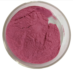 Poudre <span class=keywords><strong>de</strong></span> fruit du dragon <span class=keywords><strong>rouge</strong></span> en vrac <span class=keywords><strong>de</strong></span> haute pureté, lyophilisée, poudre <span class=keywords><strong>de</strong></span> pitaya rose en gros - Product Image 2