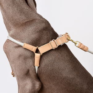 Conjunto de arnés y correa de nailon para perros, Stock ajustable, fabricación de diseñador al por mayor, cuerda pequeña y grande, <span class=keywords><strong>Collar</strong></span> para mascotas, accesorios - Product Image 3