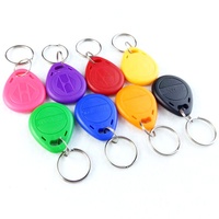 Mini-étiquettes RFID NFC ABS 125KHZ TK4100, carte de proximité intelligente, porte-clés pour système de contrôle d'accès aux portes d'hôtel, paiement, présence