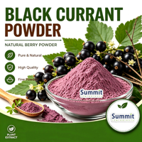 Bubuk Blackcurrant Pewarna Makanan Alami Larut dalam Air Bubuk Buah Ungu Merah untuk Minuman, Kue, Kembang Gula, Selai