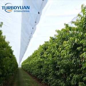 Bâche de protection contre la pluie en tissu tissé HDPE avec stabilisateur UV <span class=keywords><strong>pour</strong></span> les régions tropicales, rideau enroulable en plastique agricole, découpe <span class=keywords><strong>pour</strong></span> serres - Product Image 6
