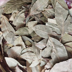 Hoja <span class=keywords><strong>de</strong></span> <span class=keywords><strong>Canela</strong></span> Seca Verde Natural Rou Gui Ye para Especias <span class=keywords><strong>de</strong></span> Barbacoa - Product Image 3