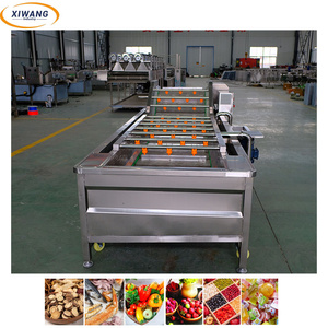 Lavadora Industrial de Burbujas para Tomates, Zanahorias, Frutas, Piñas, Naranjas, Champiñones y Fresas - Product Image 3