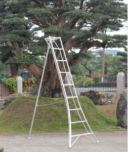 Trépied en aluminium <span class=keywords><strong>pour</strong></span> jardinage, <span class=keywords><strong>plateforme</strong></span> d'orchidées, <span class=keywords><strong>échelle</strong></span> <span class=keywords><strong>pour</strong></span> l'élagage des arbres et la cueillette de fruits - Product Image 2