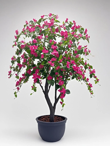 <span class=keywords><strong>Plumeria</strong></span> artificiel arbre en pot décoration intérieure et extérieure plantes vertes adaptées à la chambre hôtel maison bureau décoration - Product Image 2