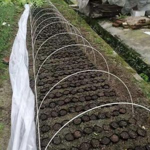 도매 에폭시 매끄러운 섬유 유리봉 농업용 견고한 유리섬유 FRP 막대 온실 식물용 - Product Image 1