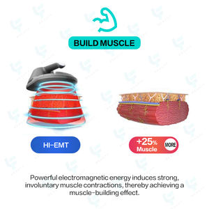 Stimulateur Musculaire Électronique Professionnel EMS 5000W HI-EMT <span class=keywords><strong>EMSZero</strong></span> pour la Construction Musculaire, Utilisation en Salon, Appareil de Stimulation Musculaire EMS - Product Image 3