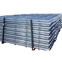 Sistema de Andamios de Acero Galvanizado por Inmersión en Caliente de Primera Calidad para Construcción, Andamios de Acero Galvanizado Q235