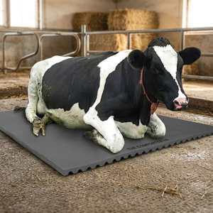 Tapis en caoutchouc antidérapant et imperméable pour bétail, vente en gros d'usine, revêtement de sol robuste pour écuries, confort pour l'élevage laitier - Product Image 6