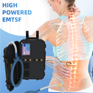 Appareil de magnétothérapie PEMF portable pour la rééducation physique des chevaux, thérapie par boucle magnétique EMTT - Product Image 3