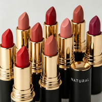 Erstellen Sie Ihren Eigenen Schwarz-Gold Feuchtigkeitsspendenden Luxus-Lippenstift Samt-Matt Wasserfester Lippenstift Private Label Langanhaltender Lippenstift