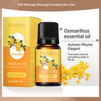 OEM Huile essentielle d'absinthe 10ml Soins corporels Plante de massage Gingembre Rose Huile essentielle de lavande pour massage