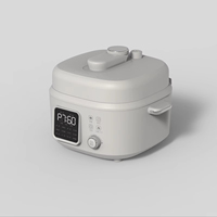 Autocuiseur multifonction 4L haute puissance 1300W OEM/ODM avec programme de cuisson numérique et fonction de cuisson à couvercle ouvert