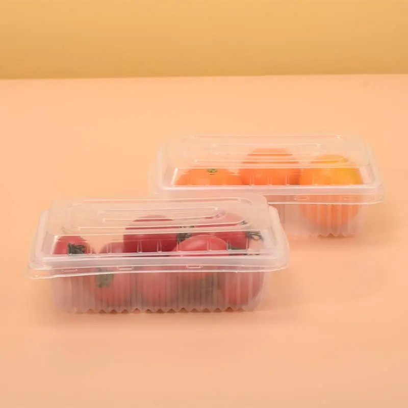 Op Maat Gemaakte Transparante Food-Grade Rechthoekige Plastic Container Dessertcake Verpakking Vers Bewaren Doos