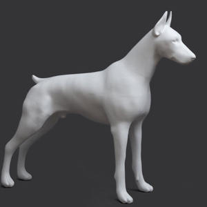 دمية كلب بحجم طبيعي مخصصة للبيع بالجملة موديل عرض لضفيرة الكلب الكبيرة - Product Image 3