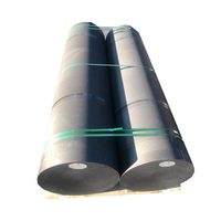 Anti-oxidatie en Hittebestendig Graphite Roll Staaf Stopper Tube