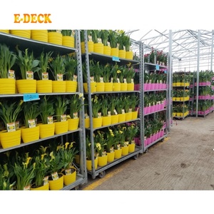 Personalizzazione supporto Transporter Giardino Centro Unità di Visualizzazione Scaffali Danese Vivaio Carrelli - Product Image 2