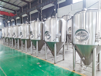 Équipement de fermentation de bière micro cuve de fermentation en acier inoxydable 100L 200L 300L 500L pour brasserie de brassage de bière industrielle