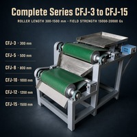 Séparateur magnétique à anneau à haute intensité à sec avec doubles rouleaux magnétiques puissants pour le traitement des minerais non métalliques