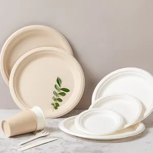 Ücretsiz örnek Compostable Lamed biyobozunur kağıt bardaklar ve tabaklar tabak çanak