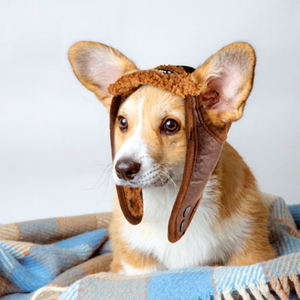 Cute Cotton Modern Dogs Beanie Baseball Cap Eco-Friendly Winter Warm Pilot Hat - Product Image 1