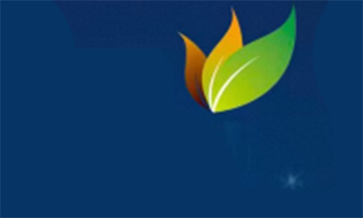 FOOTWEAR CONNECTION INC logo