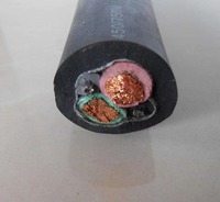 Kabel Lunak Berisolasi LSZH Tembaga H07RN-F 450V YC YCW YZ YZW untuk Konstruksi Industri dengan Selubung Karet Fleksibel