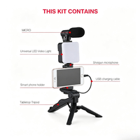Sofort lieferbares Handy-Aufnahmeset für TikTok YouTube Live-Übertragungen – Mini-Stativ, Mikrofon, LED-Videoleuchte, OEM-Unterstützung