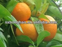 Koop Puur Synefrine Poeder In Bulk 50% 98% Citrus Aurantium Extract Cas 94-07-5