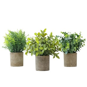 Plantes artificielles <span class=keywords><strong>en</strong></span> <span class=keywords><strong>eucalyptus</strong></span> <span class=keywords><strong>en</strong></span> <span class=keywords><strong>pot</strong></span>, <span class=keywords><strong>mini</strong></span> plantes décoratives écologiques, haute simulation, pour mariage et décoration intérieure - Product Image 5