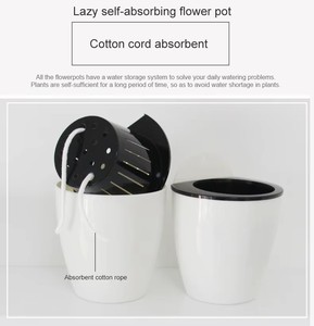 Vaso <span class=keywords><strong>da</strong></span> Parete Autoirrigante in Plastica per Sistema Idroponico o con Terriccio, Fioriera per Balcone e Supporto per Piante - Product Image 3