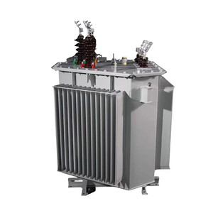 Transformador de Potencia Trifásico de Triple Bobinado Sumergido en Aceite Wanbo WB-16, Transformador de Alta Tensión de Distribución - Product Image 2