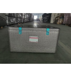 Caja Térmica de Polipropileno Expandido (EPP) Personalizada DFS01 34L, Caja de Almacenamiento Rectangular de Gran Capacidad para Alimentos Frescos, para Refrigeración - Product Image 4