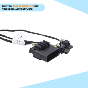 Bakır elektronik kablo demeti orijinal Oem otomotiv kablosu çin üretici özelleştirilmiş otomotiv kablosu koşum - Product Image 4